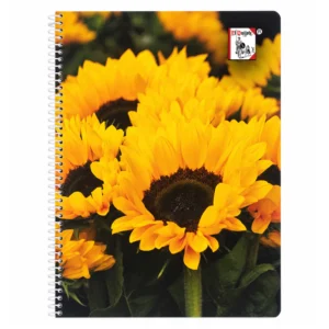 Block Espiral Carta Rayado 70 hojas Diseños Varios