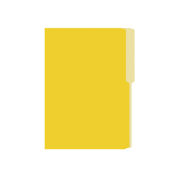FOLDER T.C NASSA  CARTULINA AMARILLO