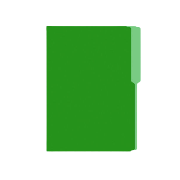 FOLDER T.C NASSA  CARTULINA VERDE
