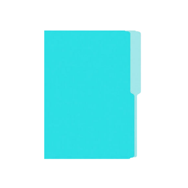 FOLDER T.C NASSA  CARTULINA  AQUA