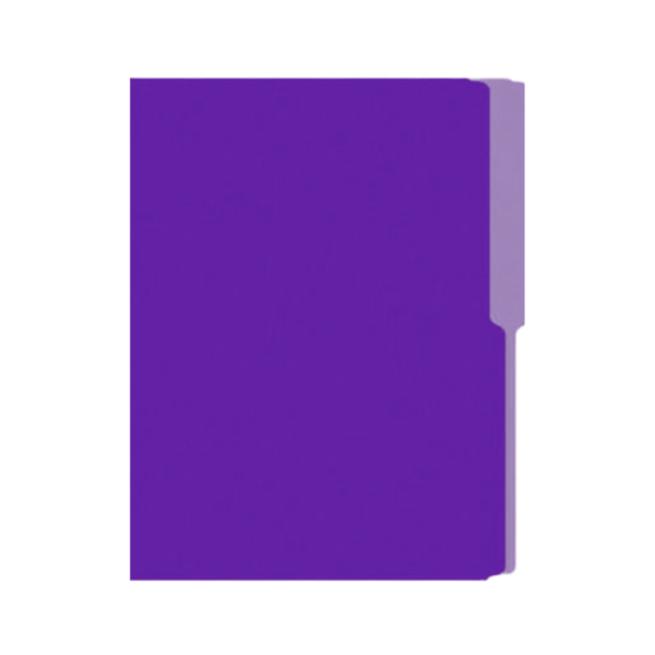 FOLDER T.O NASSA  CARTULINA MORADO