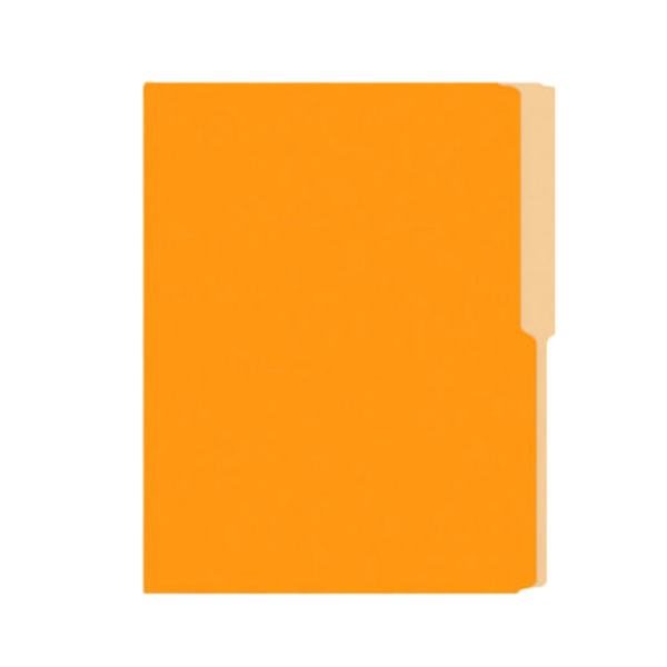FOLDER T.O NASSA  CARTULINA NARANJA
