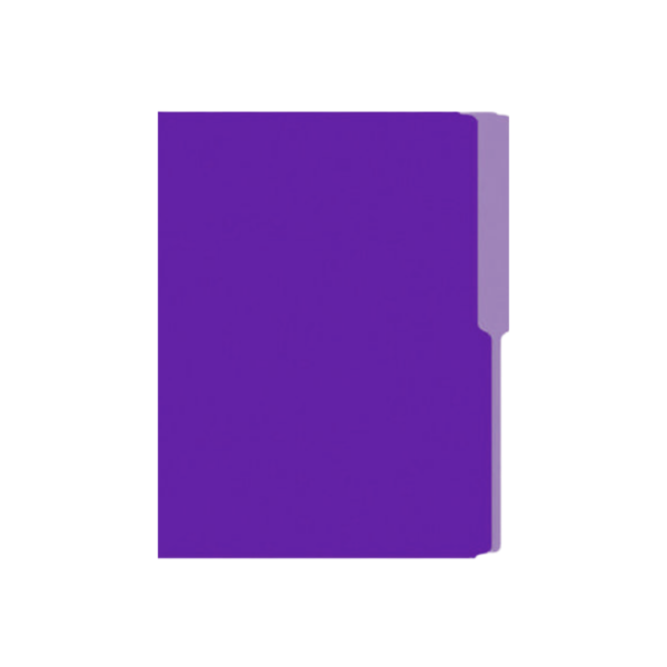 FOLDER T.C NASSA  CARTULINA MORADO